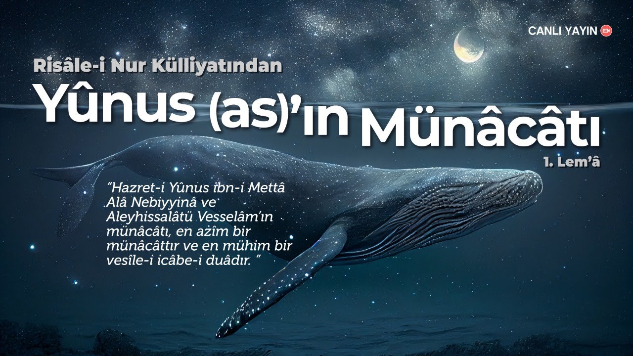 1. Lem'â