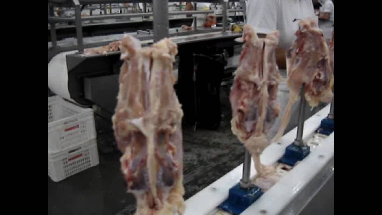 ESTEIRA DE CONES PARA DESOSSA