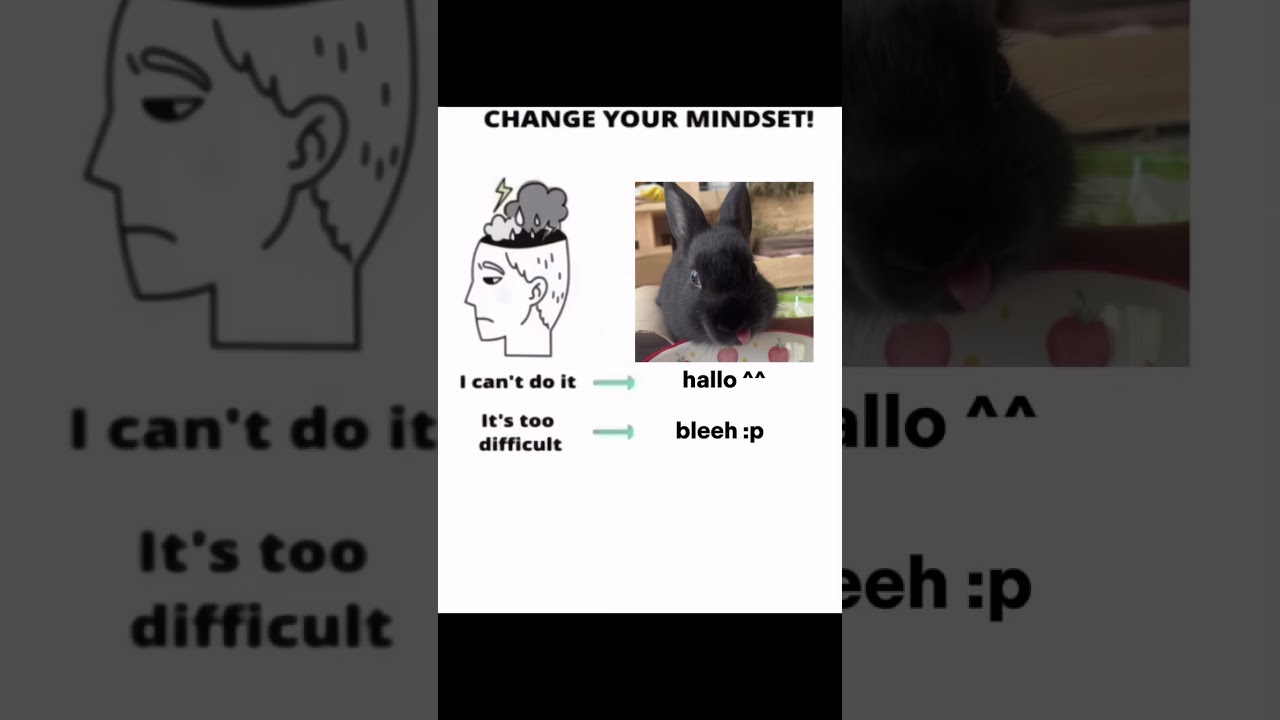 #bnuuy #buni #bunny #changeyourmindset