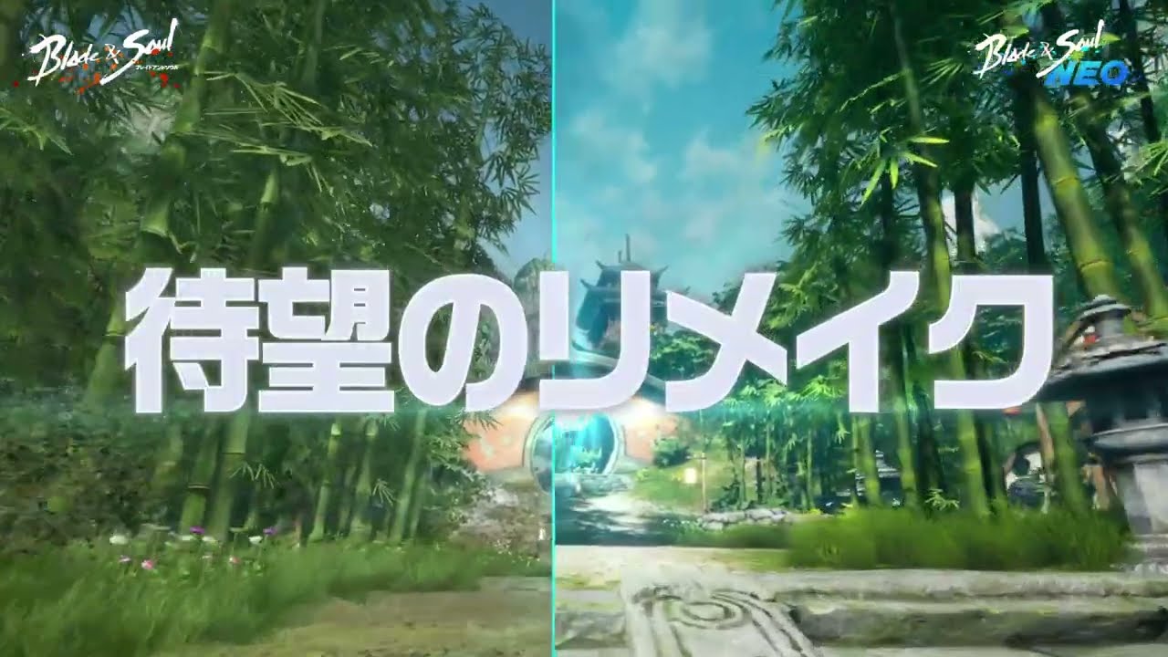 ブレイドアンドソウルNEO プロモーション