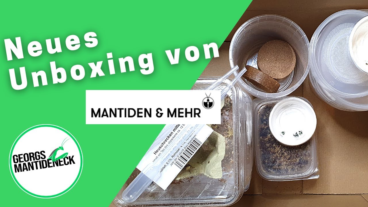 Neues Unboxing und eine 