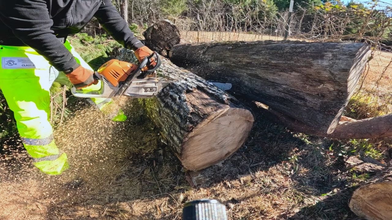 Firewood Preparation with Stihl 500i - It Cut like a Butter