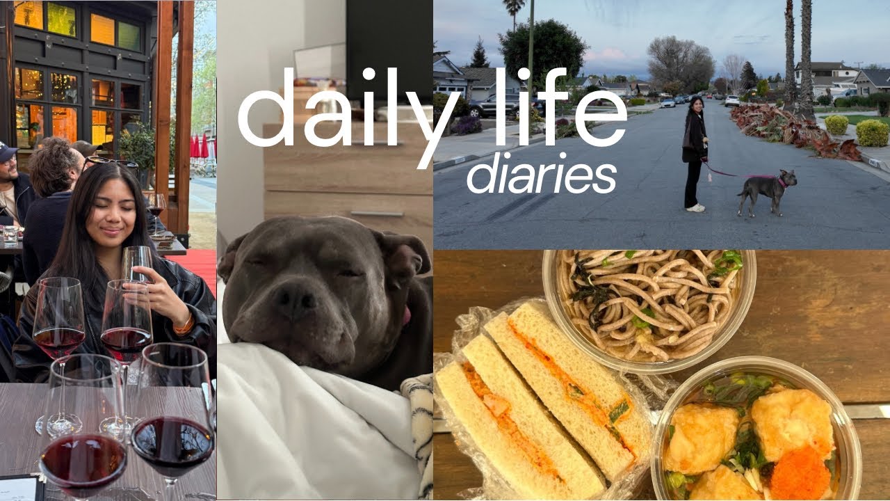 a week of pet sitting 🐶 vlog & daily life diaries