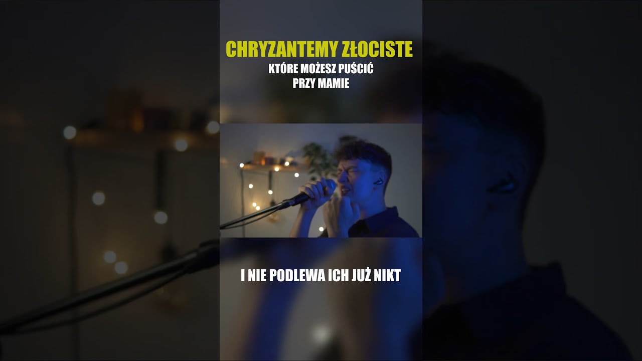 Chryzantemy Złociste kt&oacute;re pokocha nawet Twoja mama #muzyka #cover #nostalgia