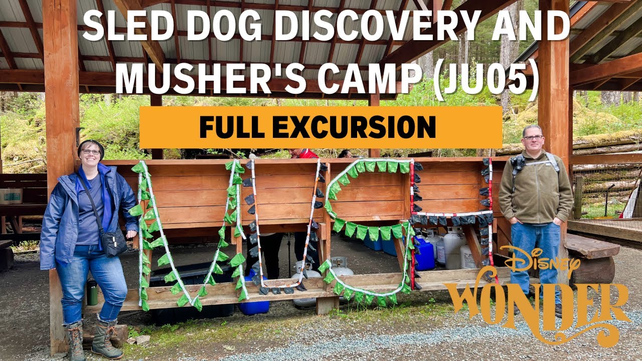 Sled Dog Discovery and Musher's Camp (JU05) on the 2023 Disney Wonder Alaska Cruise