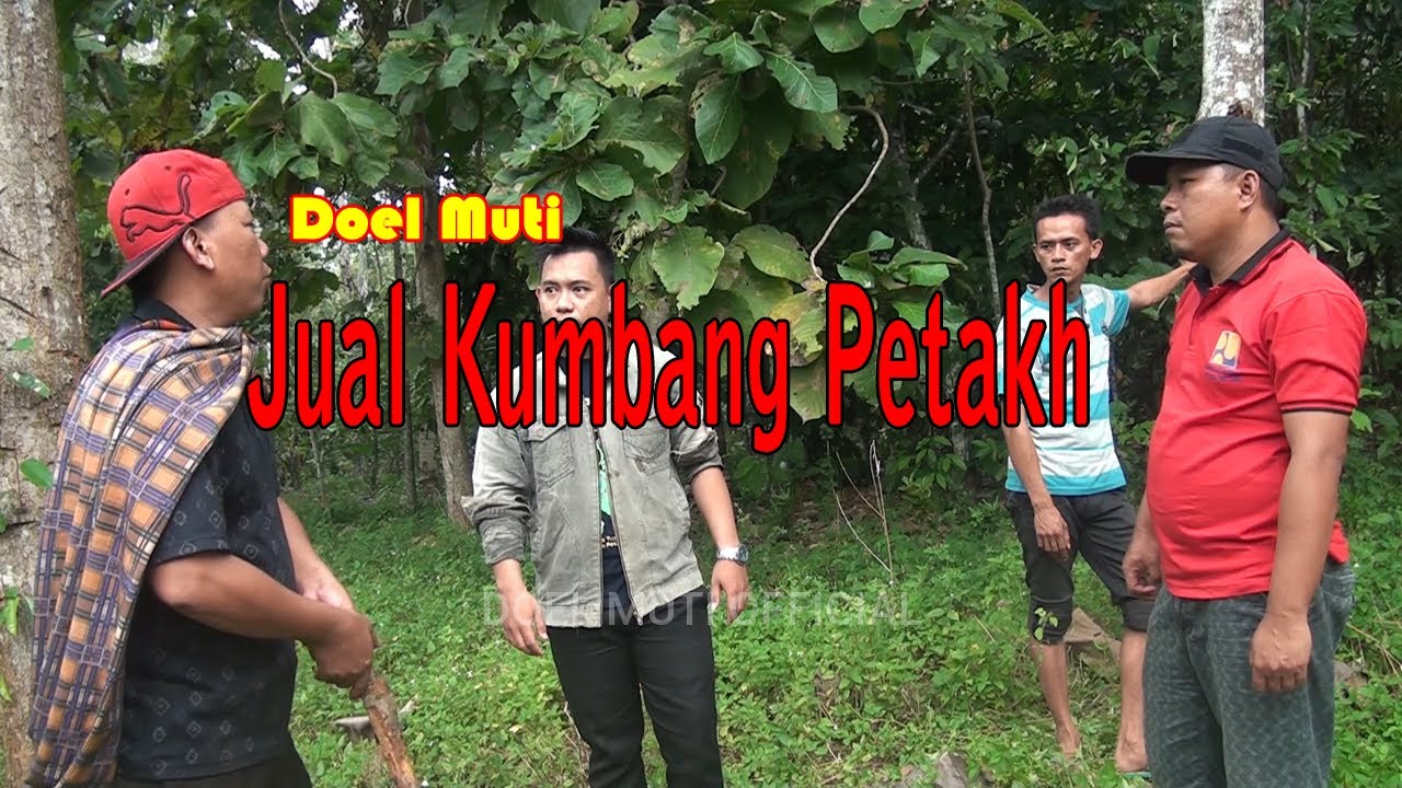 DOEL MUTI || Jual kumbang Petakh #AbahaDoel #Uniextv #DoelMuti