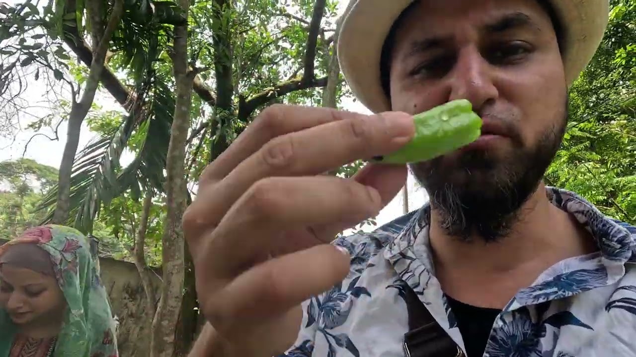 Mohammad Pur  (Mamon Pur)- Sylhet - Bangladesh Vlog 03