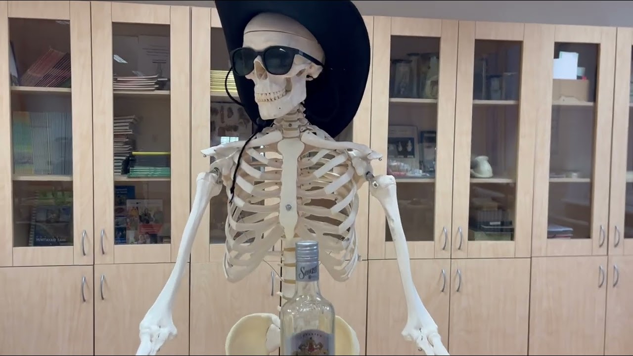 12. klassi video (Augustite Gala 2024)