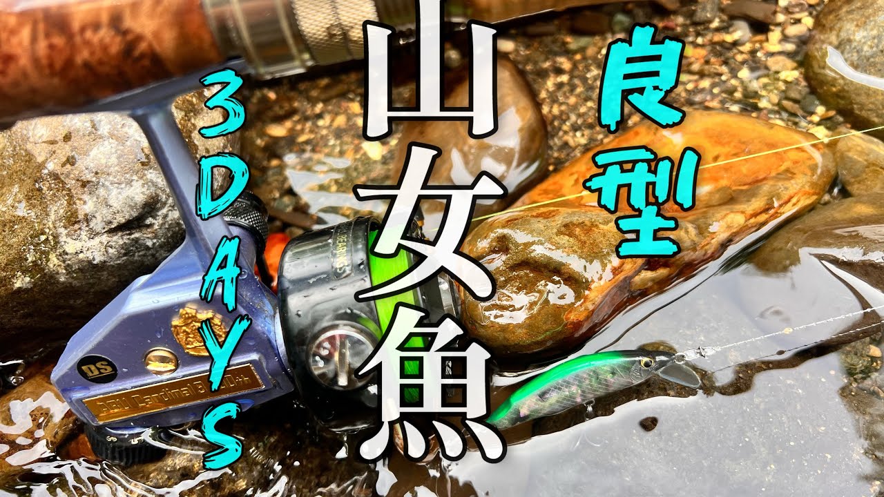 良型山女魚を求めて3DAYS #trout #iwate #fishing  #ルアーフィッシング #river #yamame #サクラマス