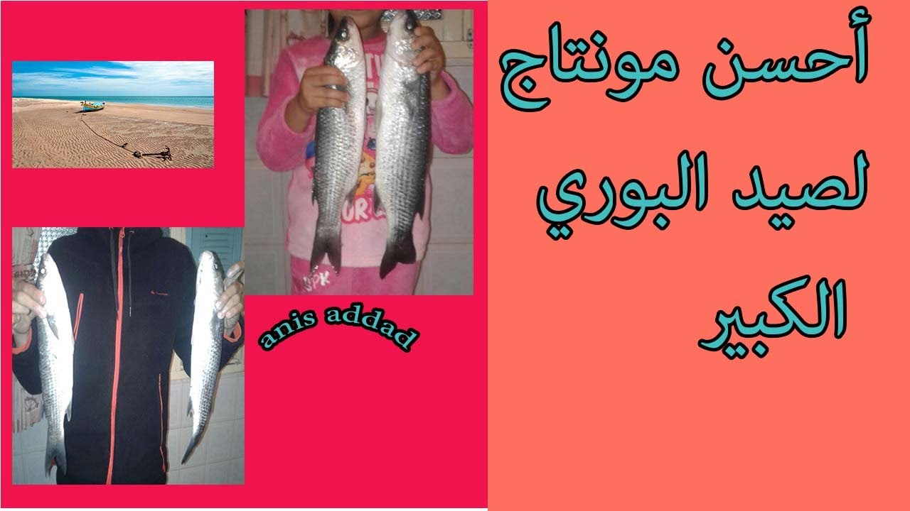 مونتاج 1 لصيد سمك البوري montage pour pêcher le mulet/ fishing the mullet