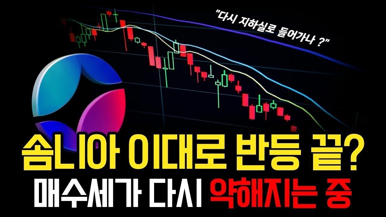 솜니아 반등 이대로 끝날까 매수세 약해지는 현재 흐름과 대응 전략 분석 #솜니아 #솜니아전망