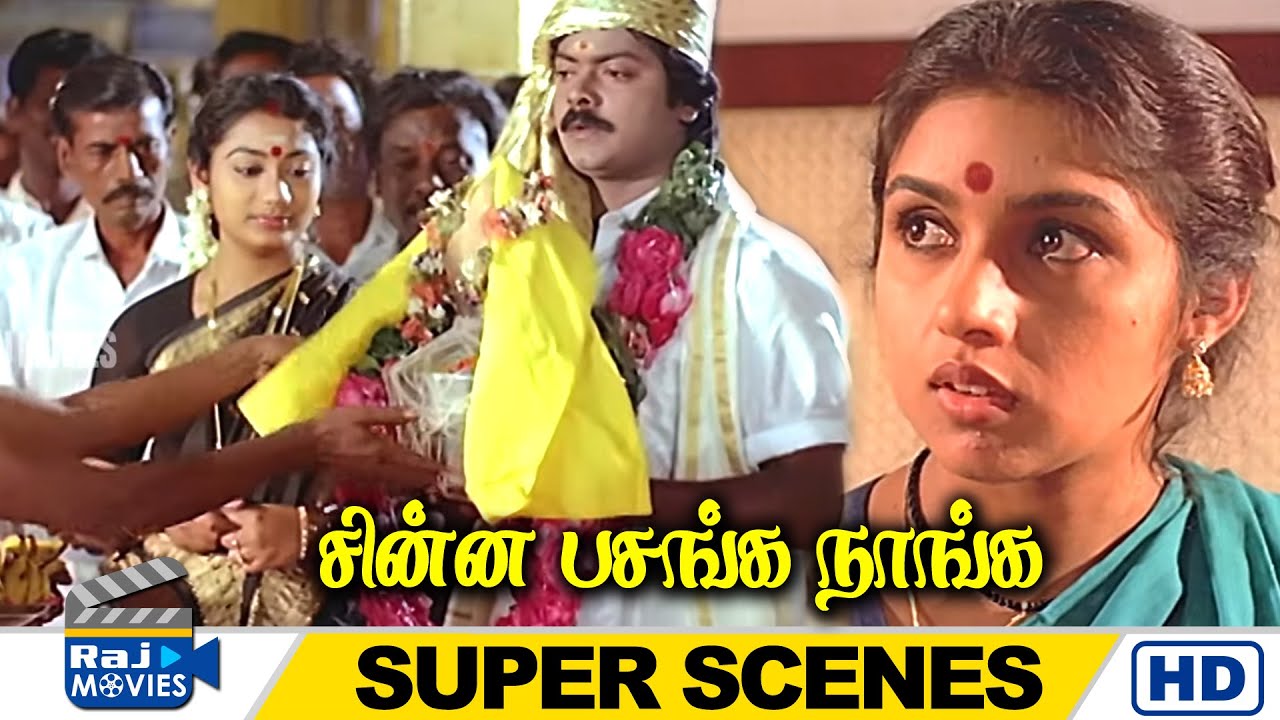 எப்போ எனக்கு குழந்தையை பெத்து தரப்போற | Chinna Pasanga Naanga | Raj Movies