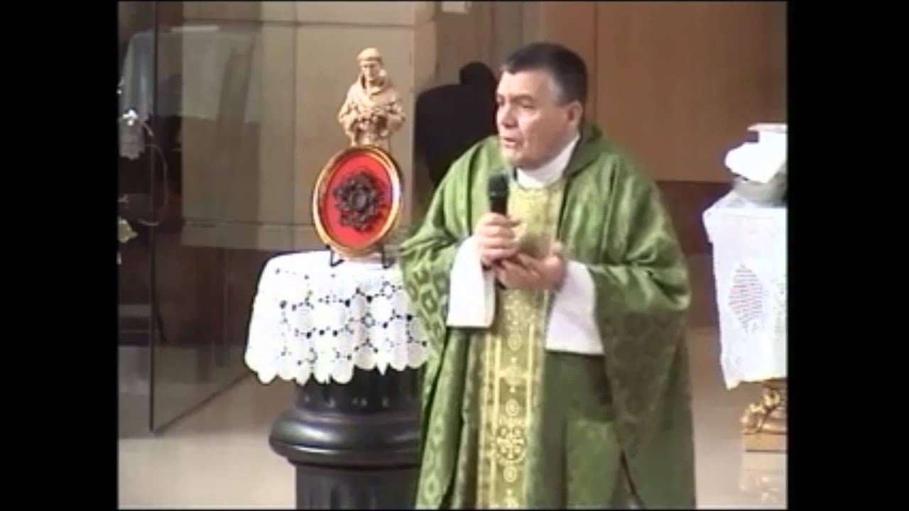 ¿Qué significa el Matrimonio Católico? - P. Santiago Martin (FM)