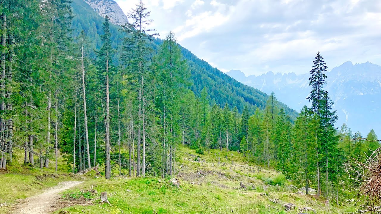 Mountain Biking The Kreuzweg | Fulpmes, Austria