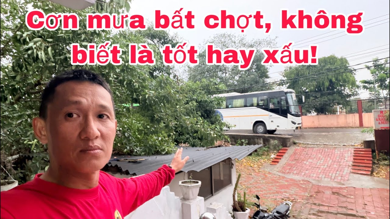 Cơn mưa bất chợt, không biết là tốt hay xấu! Có chứng kiến mới thấy sự nguy hiểm!