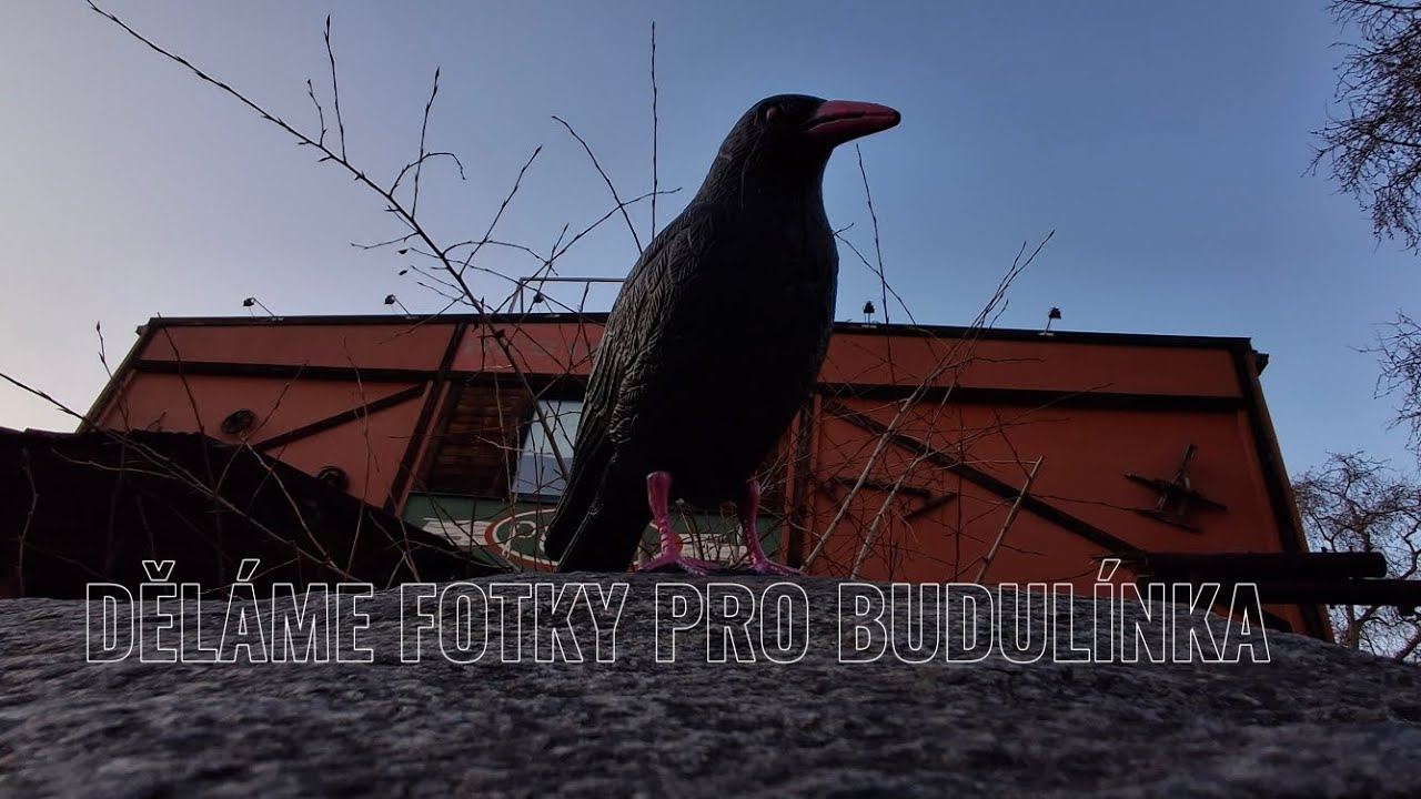 DĚLAME FOTKY PRO BUDULÍNKA