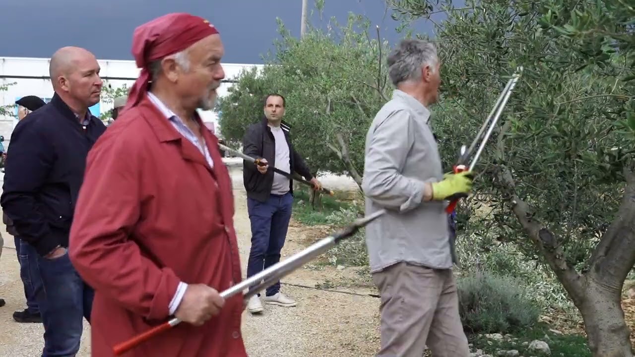 Rezidba masline na polikoničnu vazu Peter Pedišić