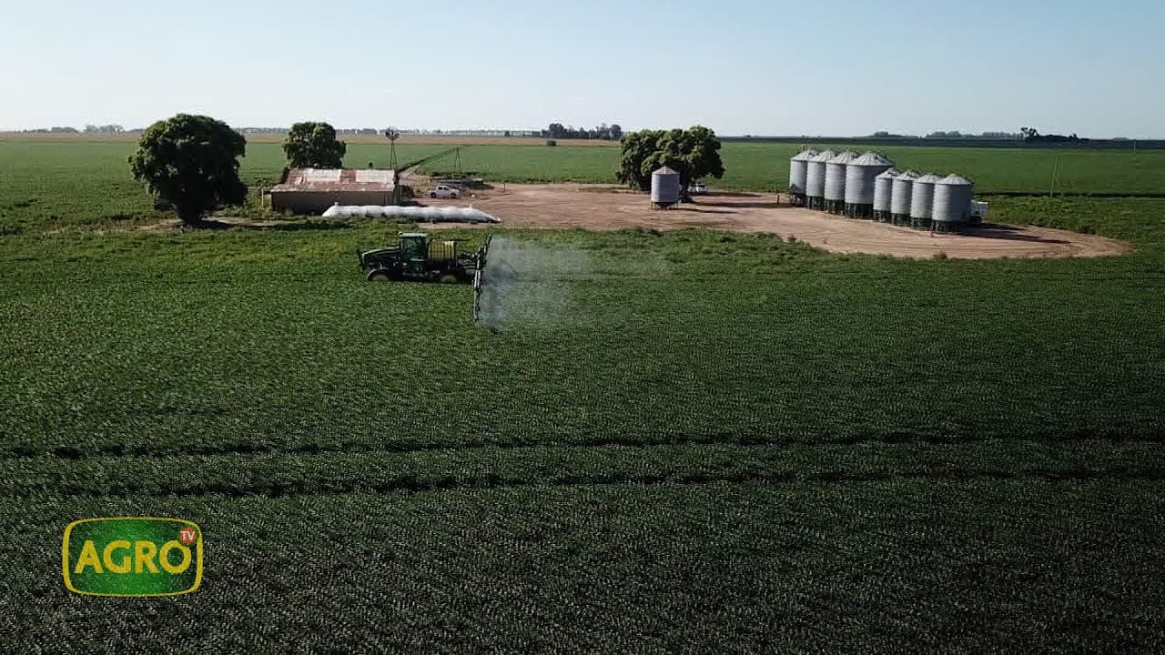 La Sarita: Ecosistema conectado y tecnológico en 8.000 hectáreas agrícolas (#1072 2024-02-24)