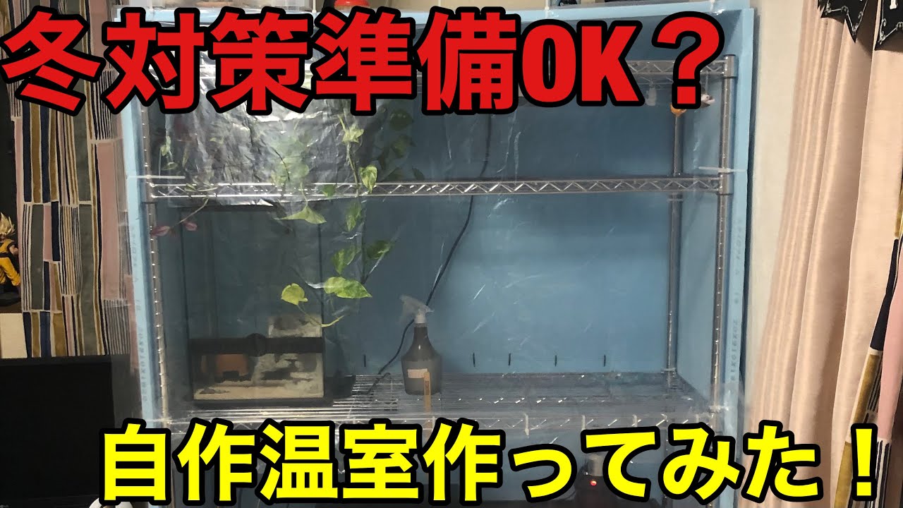 ［爬虫類DIY］冬対策OK！？自作温室作ってみた！