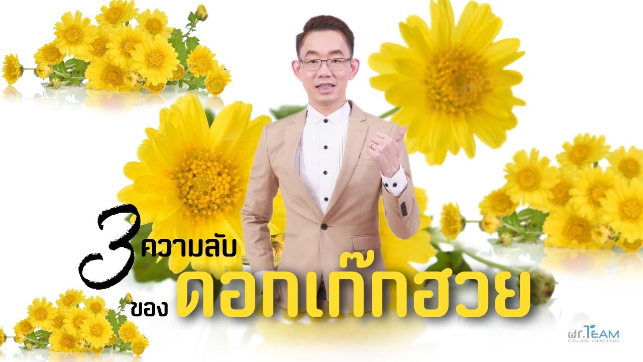 3 ความลับของดอกเก๊กฮวย |#หมอทีม '