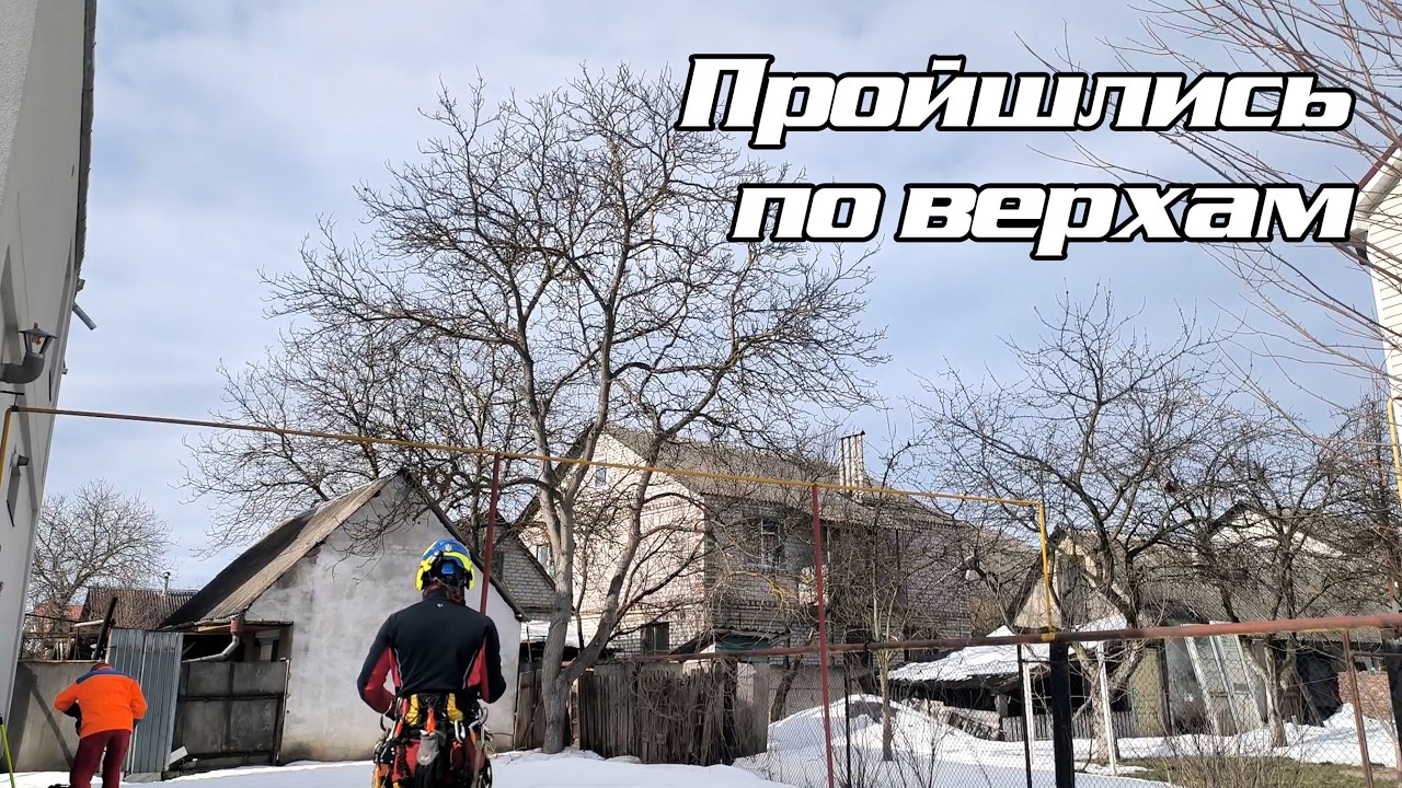 Обрізка горіха
