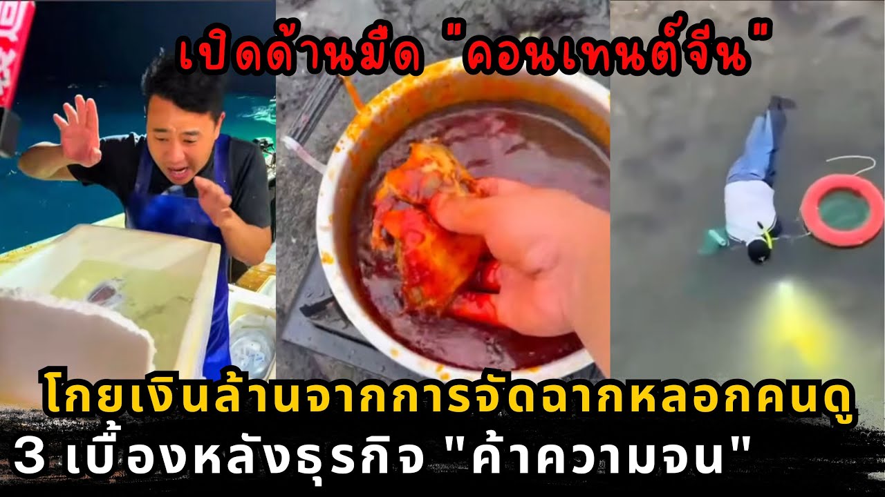 เบื้องหลังคลิปไวรัลที่คุณอาจโดนหลอก ตั้งแต่จับปลาทิพย์ไปจนถึงโฆษณาชวนเชื่อ