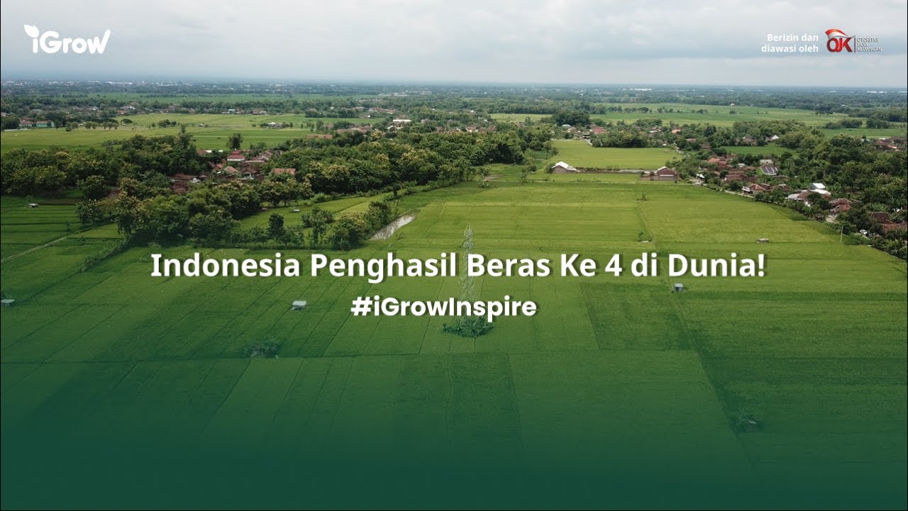 #iGrowInspire | Indonesia Penghasil Beras Ke 4 di Dunia!