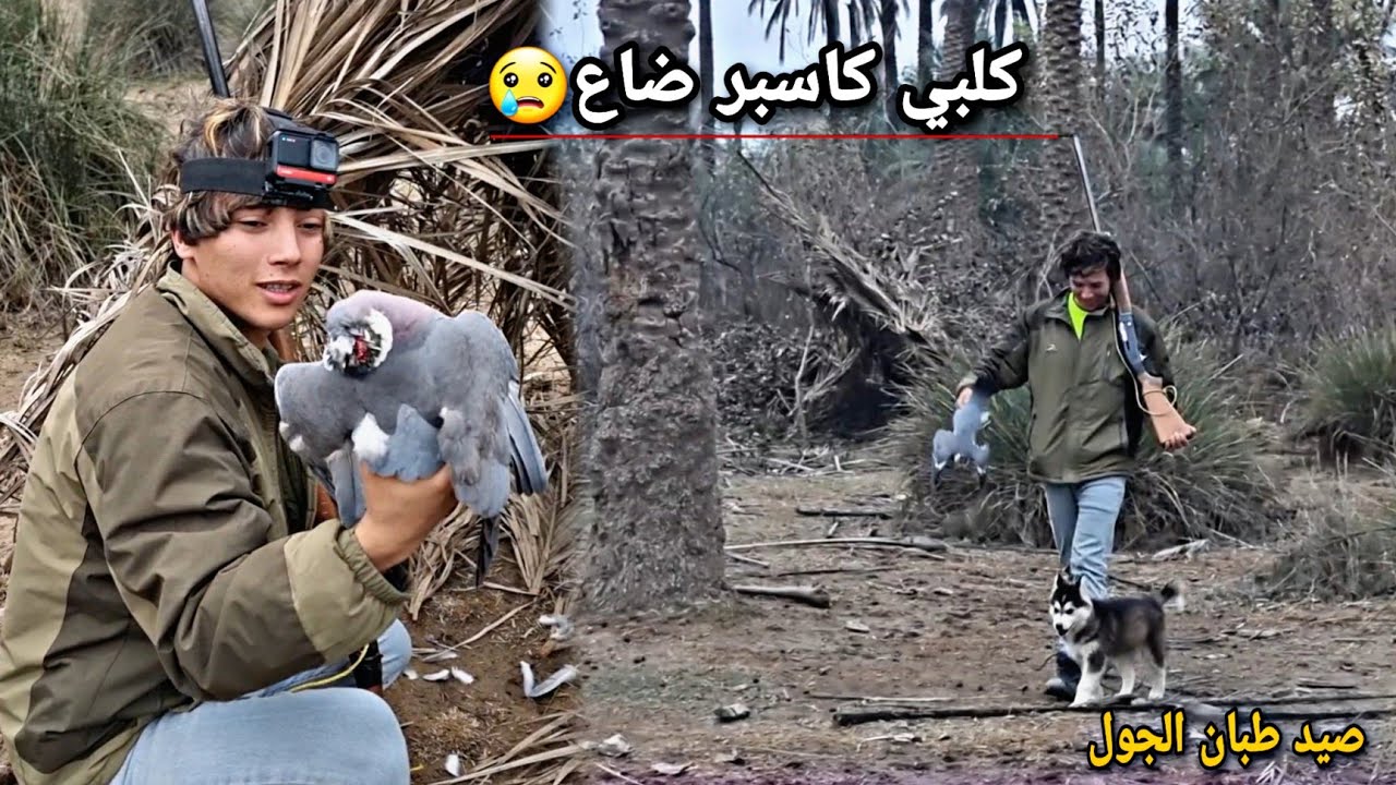 صيد الطبان في الادغال_كلبي كاسبر ضاع 😭