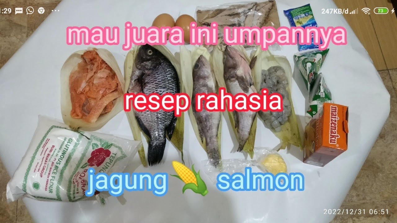 umpan mancing ikan mas jagung salmon