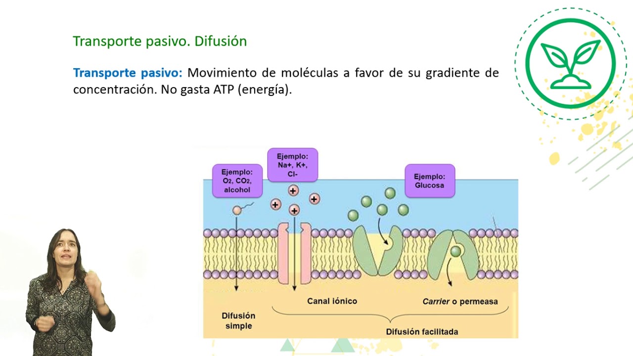Biología Nivel I - 