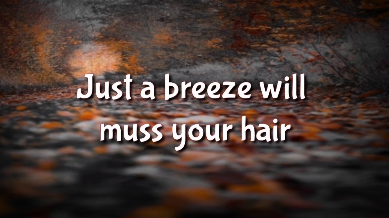 Mr. Dieingly Sad (Lyrics) - by The Critters