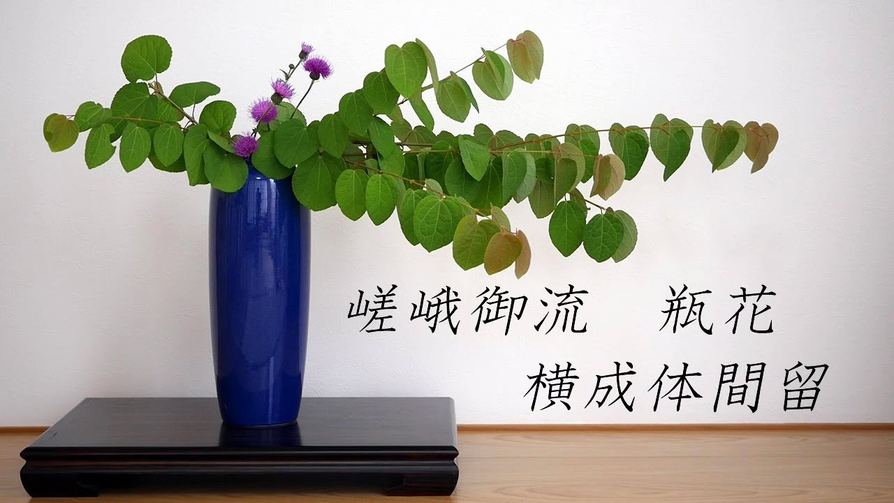 【生け花】瓶花・嵯峨御流☆横成体間留☆heika【ikebana】