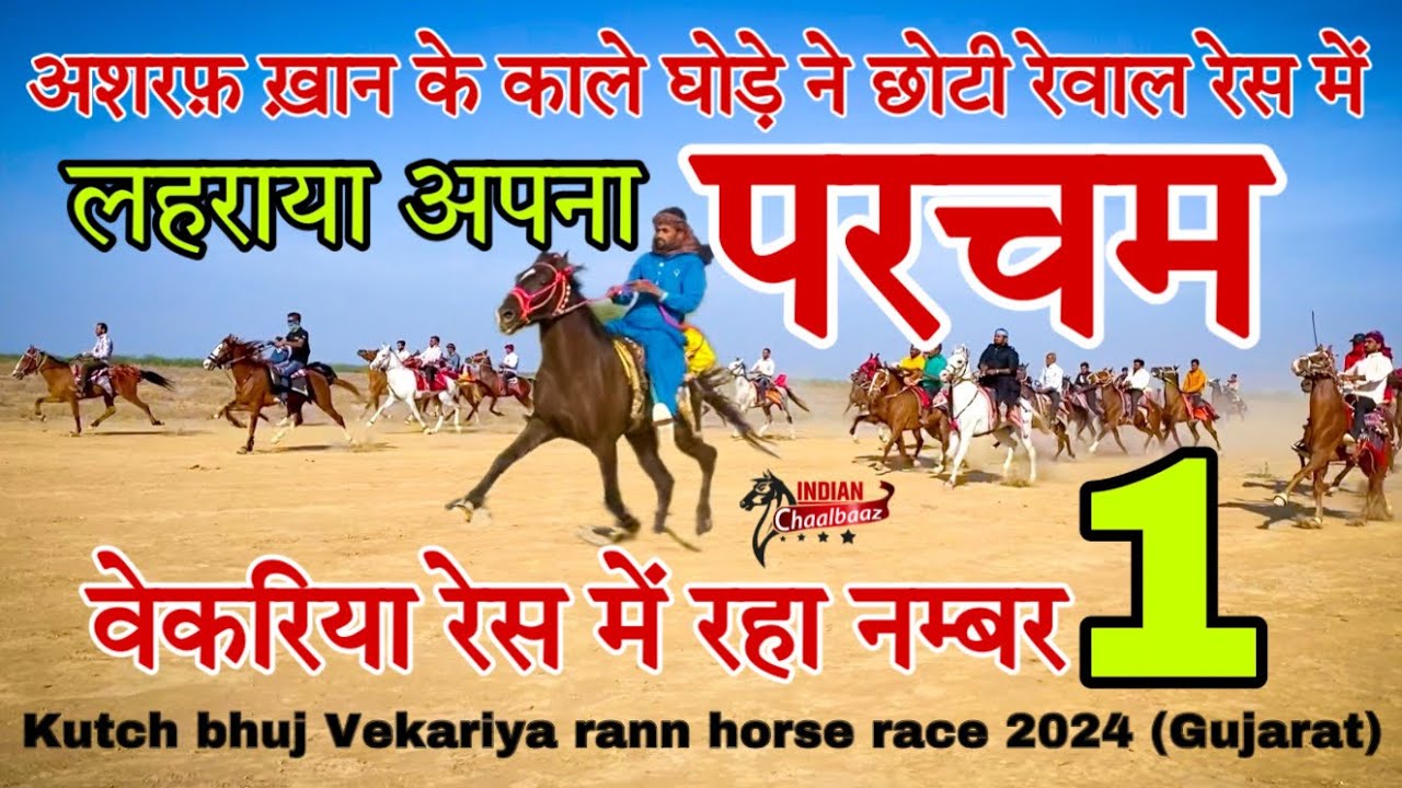 वेकरिया रण में अशरफ़ ख़ान के काले घोड़े ने छोटी रेवाल रेस में लहराया अपना परचम Kutch bhuj race 2024