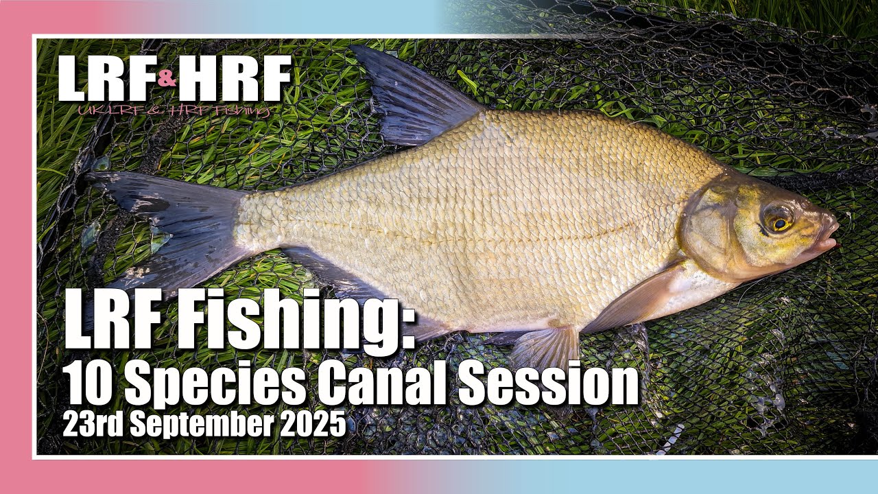 LRF Fishing: 10 Species Canal Session