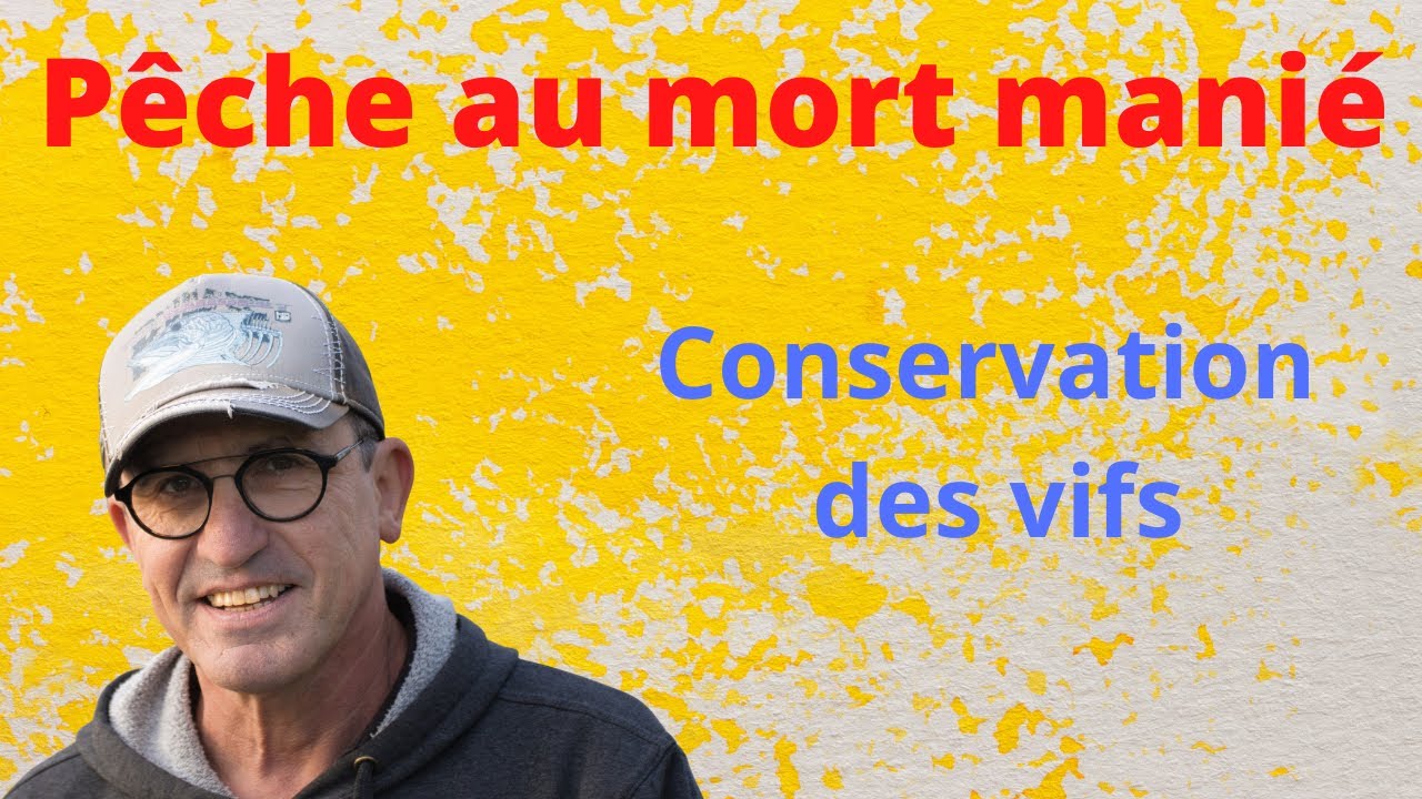 bac à vifs