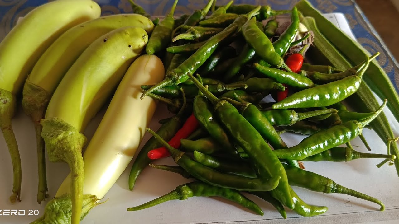 எங்க school garden லிருந்து vegetablesஅறுவடை பண்ணலாமா வாங்க #garden #gardenvideos #gardening 