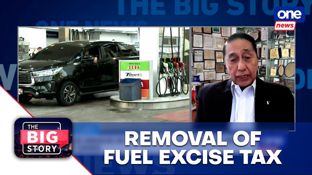 Removal of fuel excise tax might not be helpful if prices continue to go up — Ortiz-Luis
