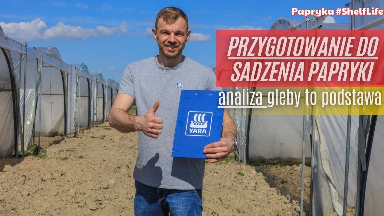 Jak dobrze przygotować się do sadzenia papryki