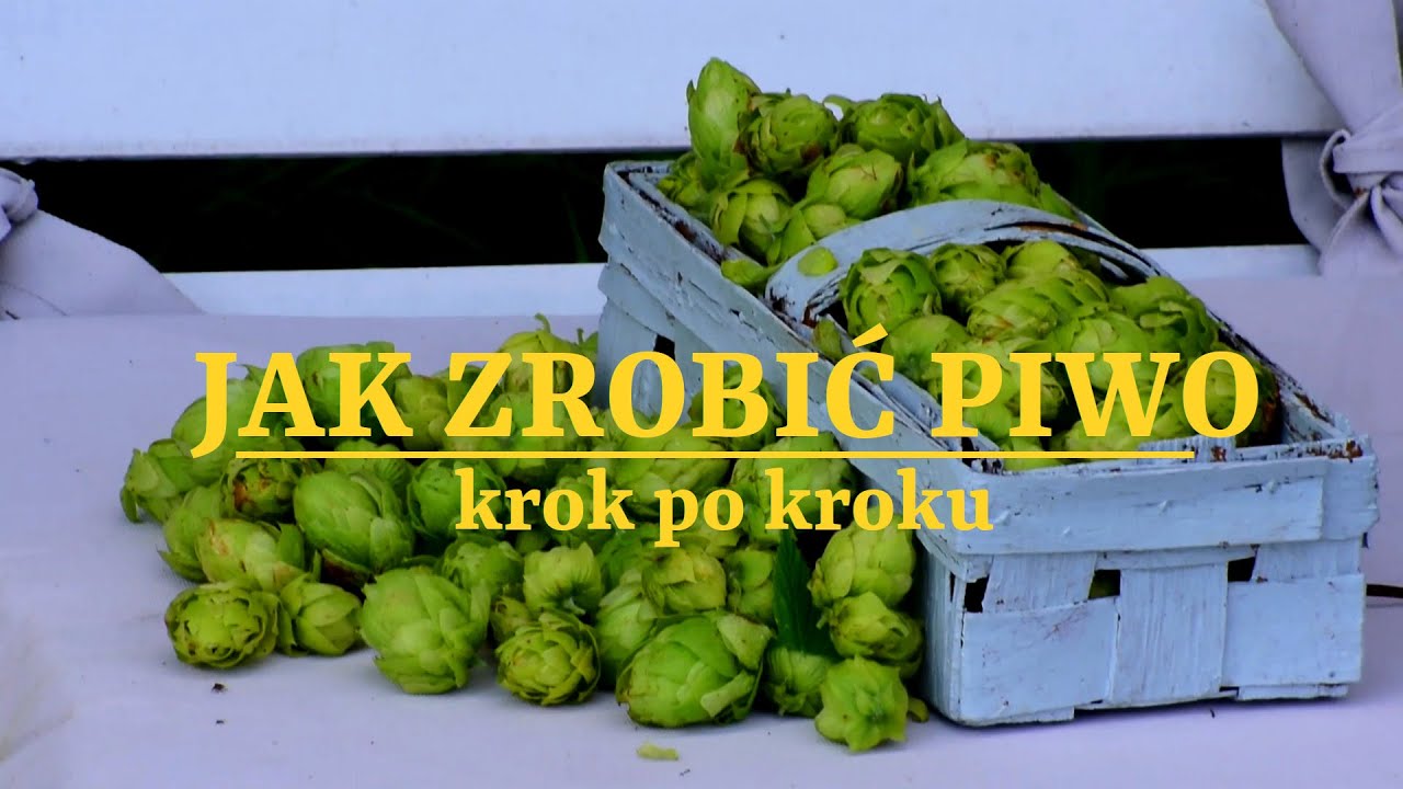 Jak zrobić piwo  - instrukcja warzenia w domowych warunkach