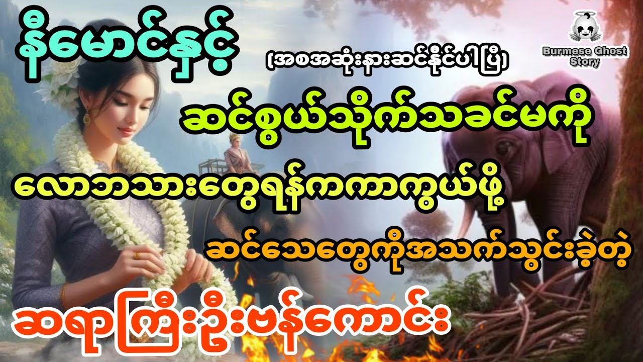 နီမောင်နှင့် အမြူတေတွေကို လောဘသားတွေရန်ကကာကွယ်ဖို့ ဆင်သေတွေကိုအသက်သွင်းခဲ့တဲ့ဦးဗန်ကောင်း (အစအဆုံး)