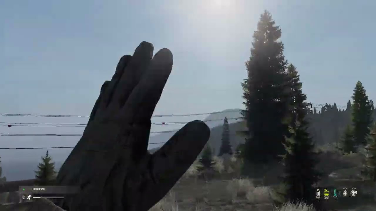 DayZ PvP Выживший