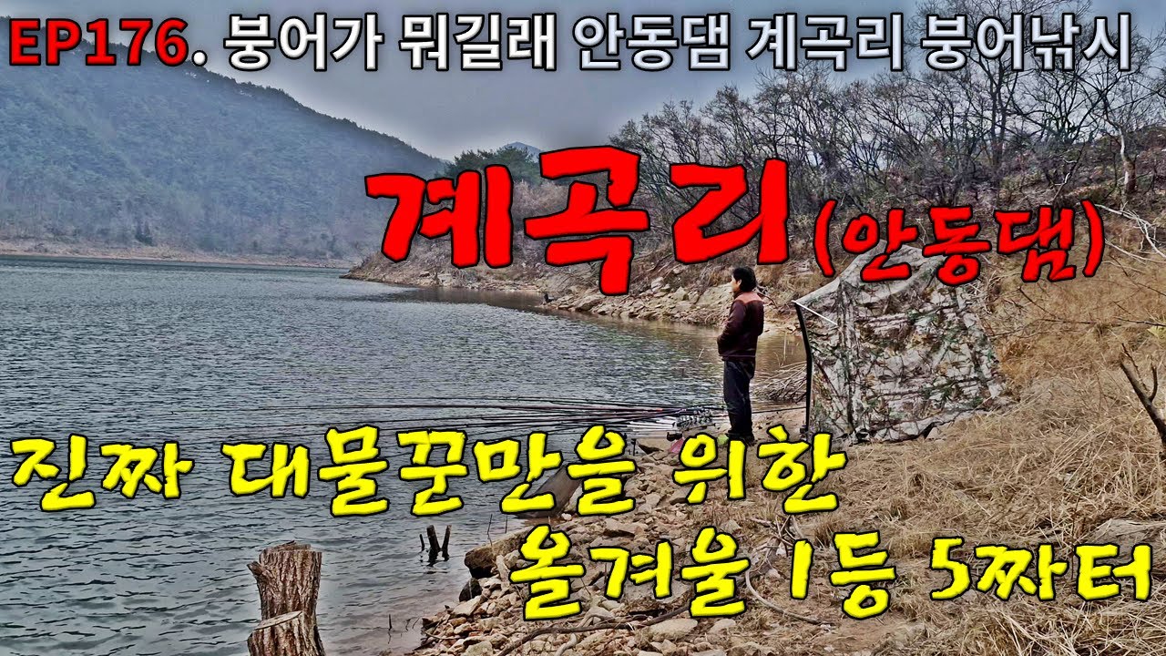 EP176. 붕어가 뭐길래 | 진짜 대물꾼만을 위한 올겨울 1등 5짜터 | 안동댐 | 계곡리 | 붕어낚시 | Crucian Carp Fishing