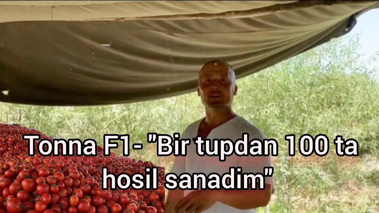 Tonna F1- 