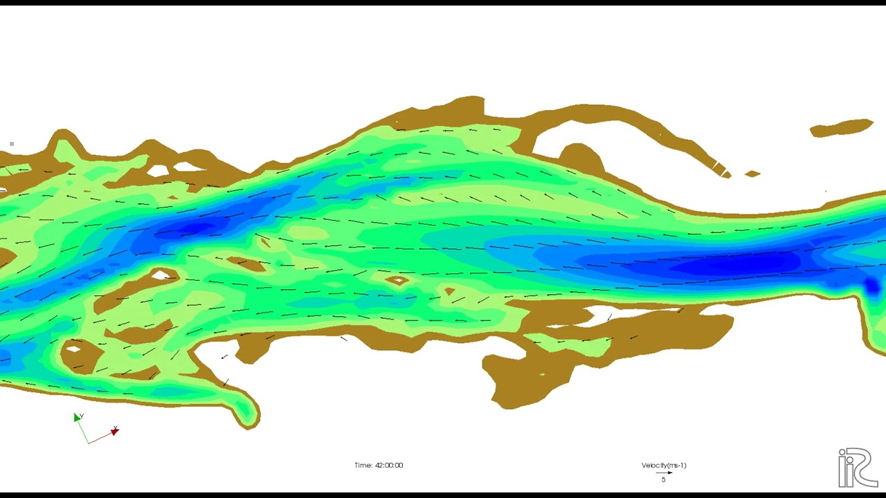 Central bar_using Nays2DH model