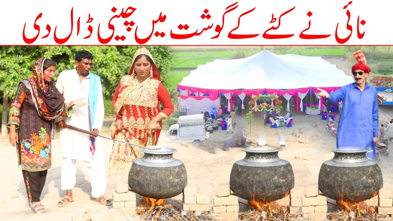 Anari Nai //Ramzi Sughri, Koki, Jatti, & Mai Sabiran,Bhotna,Sanam New Funny Video By Rachnavi Tv