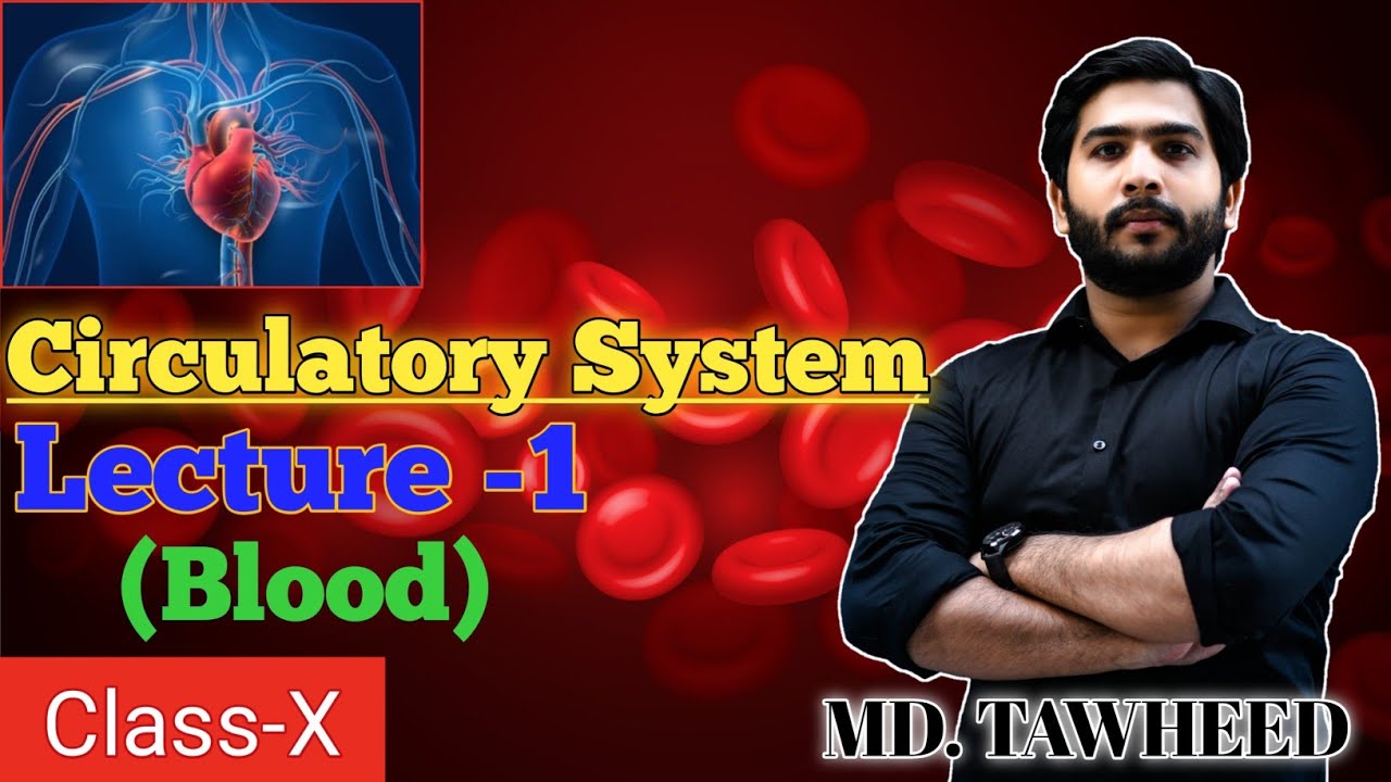 Circulatory system | Lecture- 1| Class 10th | Biology | By Md Tawheed Sir |#Future_Learning_Academy