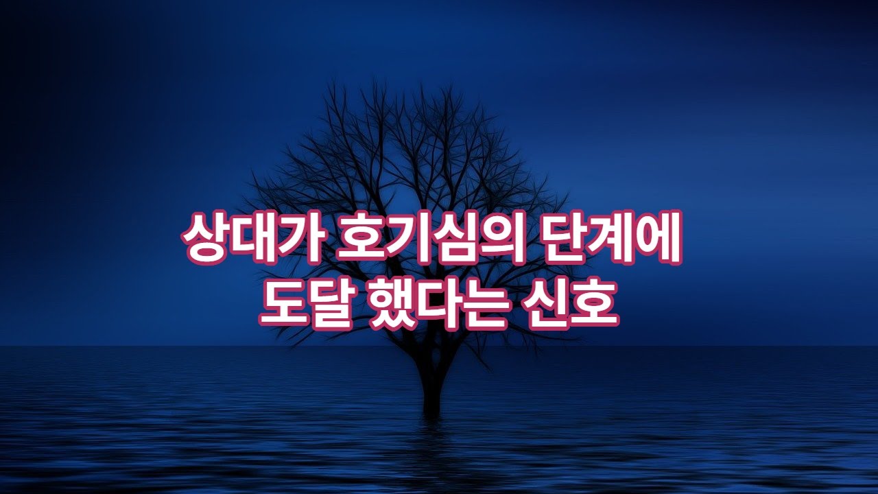 상대는 드디어 호기심의 단계에 왔을까?
