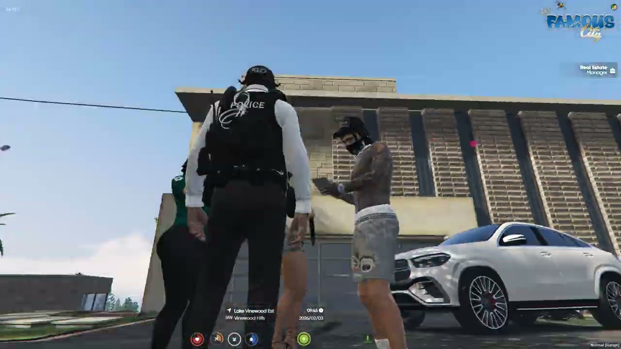 Roleplay/ GTA5/ Fivem games/ Gamer