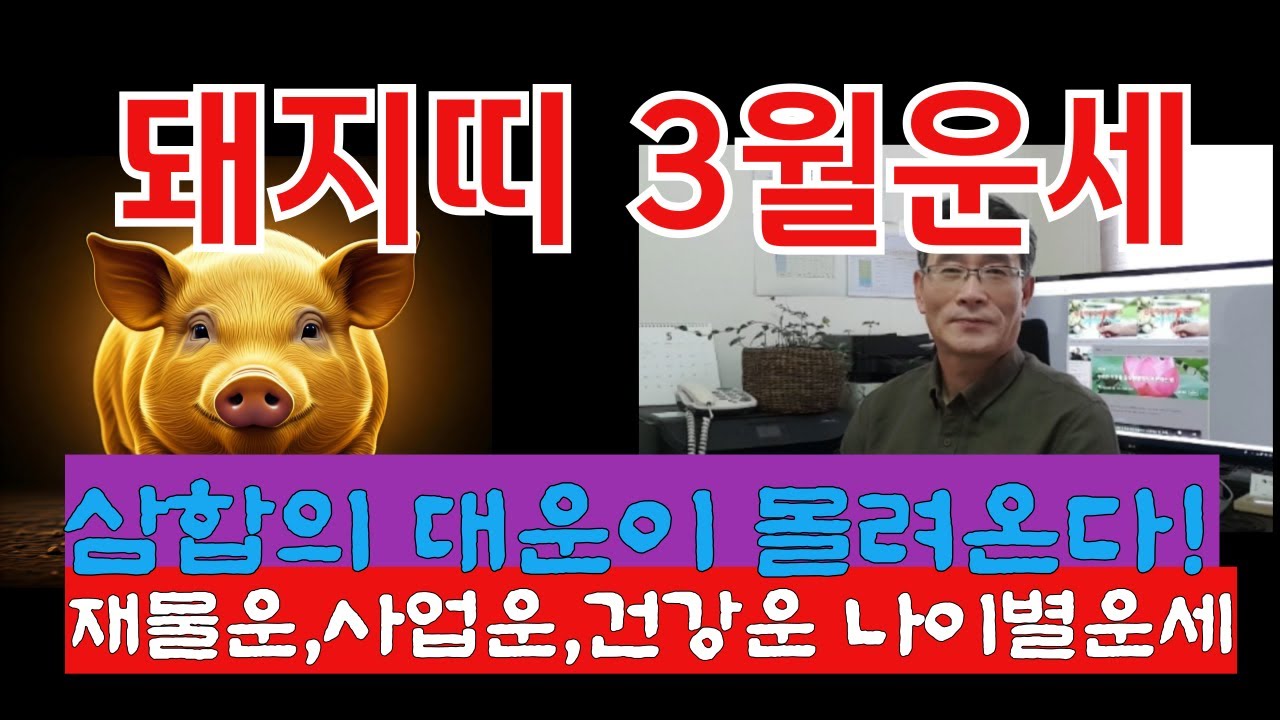 2026년 3월 돼지띠 운세: 귀인이 찾아오고 막힌 돈줄이 뚫리는 역대급 시기가 온다! 59년 기해생, 71년 신해생 , 83년 계해생