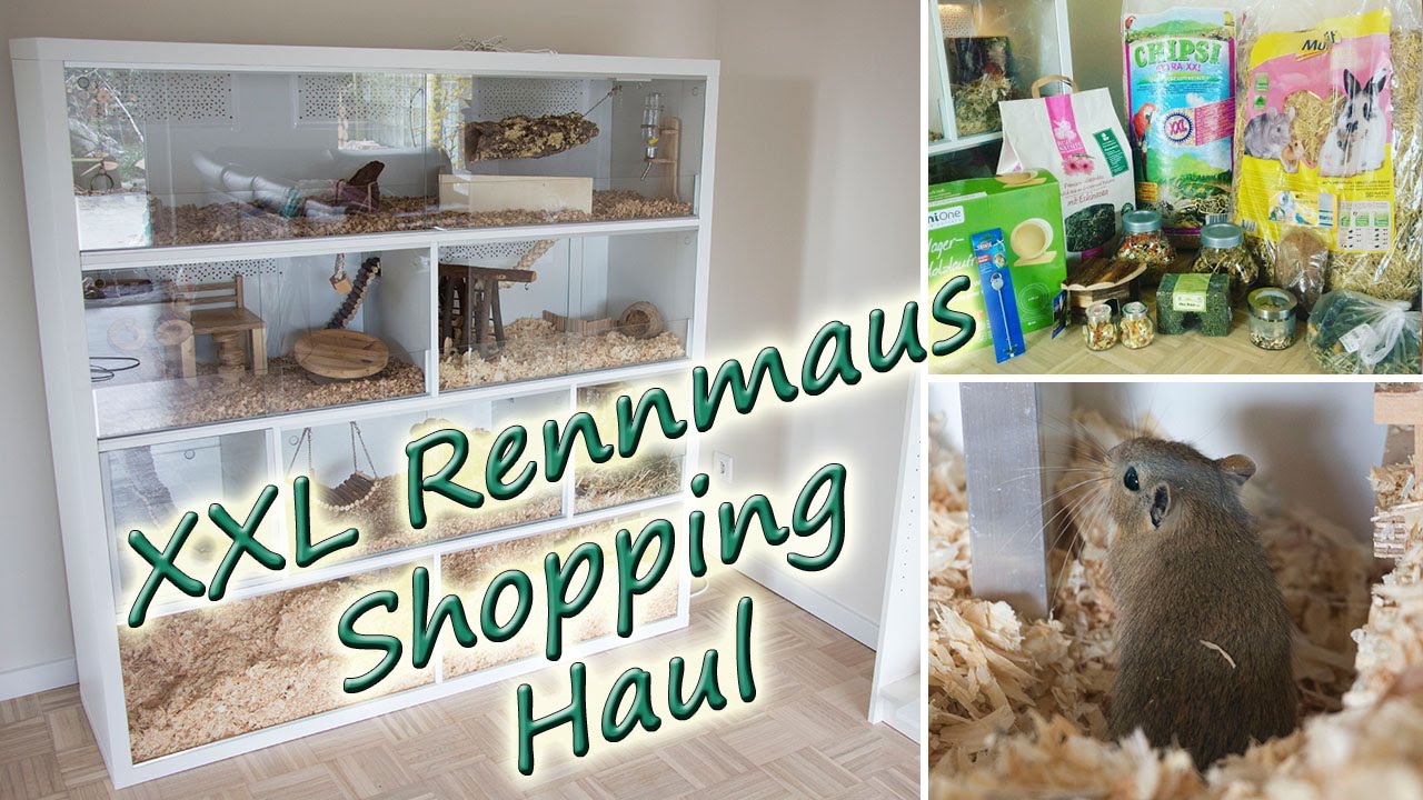XXL Rennmaus Shopping Haul
